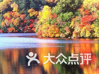 定南：城乡处处景 游客年年多